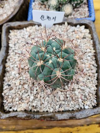 이연옥님의 작성글 사진