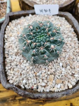 이연옥님의 작성글 사진