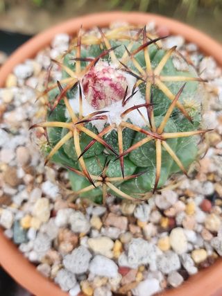 이연옥님의 작성글 사진