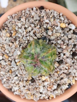 이연옥님의 작성글 사진