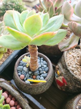 이연옥님의 작성글 사진