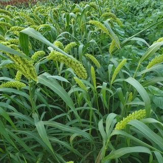 오명희 님의 자유주제 · 자유게시판 작성글 사진