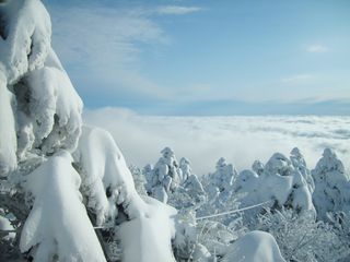 제주농부님의 우리동네 · 동네자랑 작성글 사진