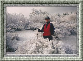 제주농부님의 우리동네 · 동네자랑 작성글 사진