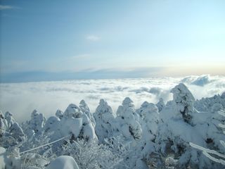 제주농부님의 우리동네 · 동네자랑 작성글 사진