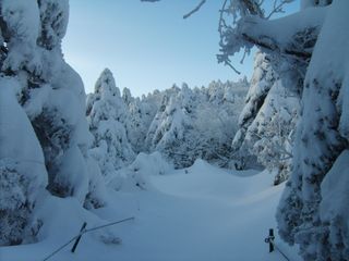 제주농부님의 우리동네 · 동네자랑 작성글 사진