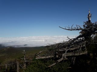 제주농부님의 우리동네 · 동네자랑 작성글 사진