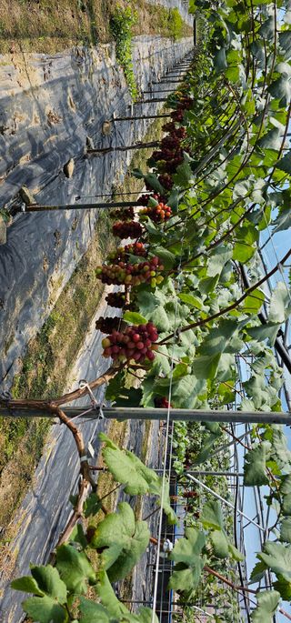 박희철님의 자유주제 · 자유게시판 작성글 사진