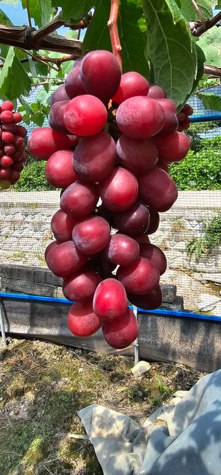 박희철님의 자유주제 · 자유게시판 작성글 사진