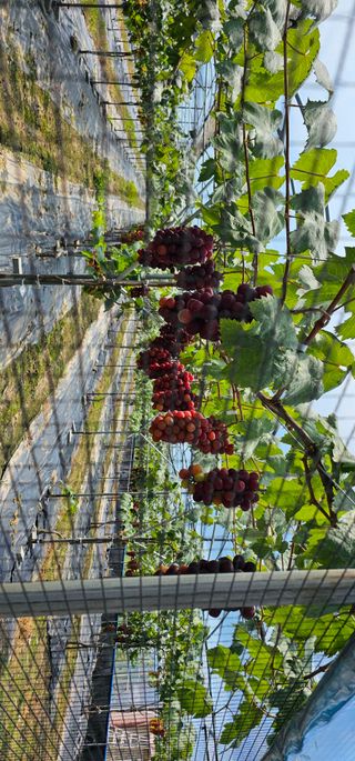 박희철님의 자유주제 · 자유게시판 작성글 사진