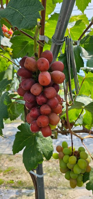 박희철님의 자유주제 · 자유게시판 작성글 사진