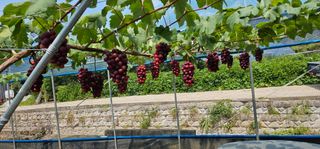 박희철님의 자유주제 · 자유게시판 작성글 사진