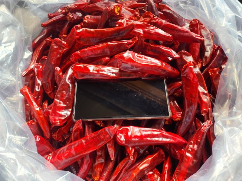 장터 상품 [건고추(꼭지없음) 1근(600g)] 썸네일