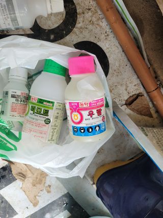 이강진님의 사과 · 영농일지 작성글 사진