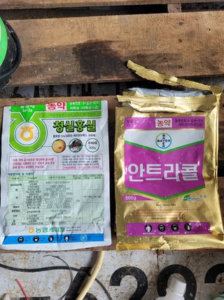 이강진님의 사과 · 영농일지 작성글 사진