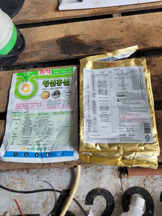 이강진님의 사과 · 영농일지 작성글 사진