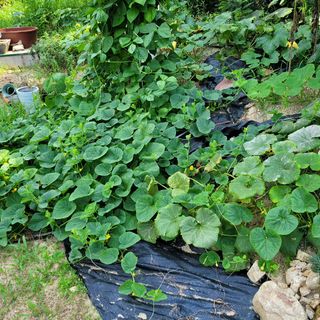 최명희님의 O학년 △반 이세요? · 참여글 작성글 사진