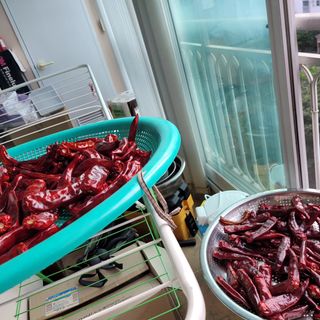 최명희님의 O학년 △반 이세요? · 참여글 작성글 사진