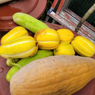 최명희님의 O학년 △반 이세요? · 참여글 작성글 사진