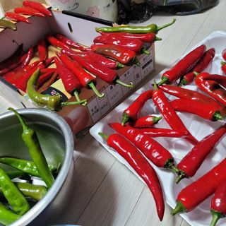 최명희님의 O학년 △반 이세요? · 참여글 작성글 사진