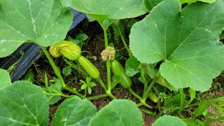 최명희님의 O학년 △반 이세요? · 참여글 작성글 사진