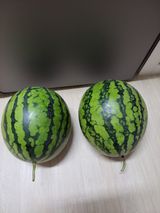 팜모닝 O학년 △반 이세요?·참여글 게시글 이미지