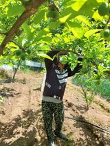 팜모닝 O학년 △반 이세요?·참여글 게시글 이미지