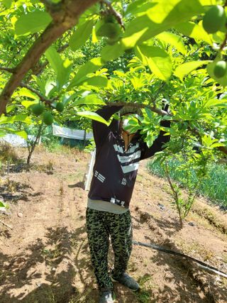 하나돌님의 O학년 △반 이세요? · 참여글 작성글 사진