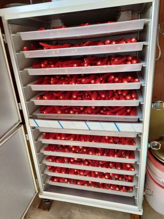 하나돌님의 O학년 △반 이세요? · 참여글 작성글 사진