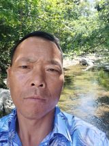 팜모닝 · 게시글 이미지