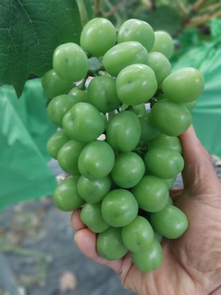 이옥신님의 작성글 사진