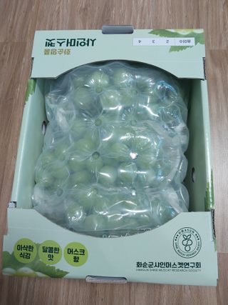 이옥신님의 작성글 사진