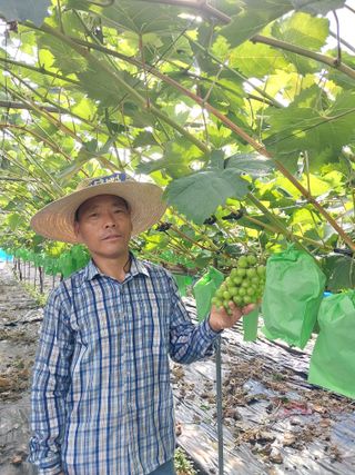 이옥신님의 작성글 사진