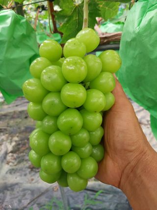 이옥신님의 작성글 사진