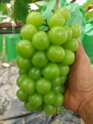 이옥신님의 작성글 사진