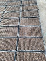 팜모닝 자유주제·자유게시판 게시글 이미지