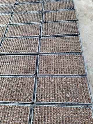 빛그린 김용화님의 자유주제 · 자유게시판 작성글 사진