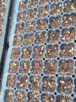 빛그린 김용화님의 자유주제 · 자유게시판 작성글 사진