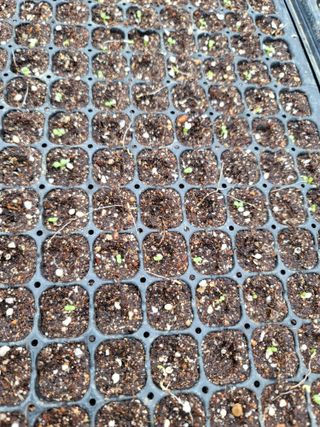 빛그린 김용화님의 자유주제 · 자유게시판 작성글 사진