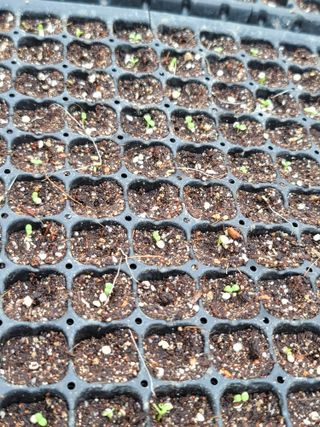 빛그린 김용화님의 자유주제 · 자유게시판 작성글 사진