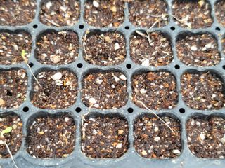 빛그린 김용화님의 자유주제 · 자유게시판 작성글 사진