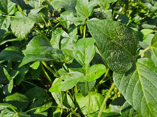 김윤숙님의 자유주제 · 자유게시판 작성글 사진