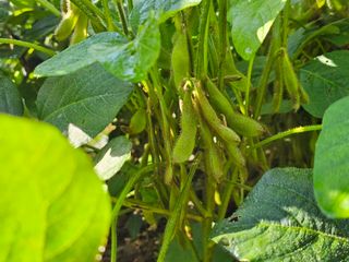 김윤숙님의 자유주제 · 자유게시판 작성글 사진