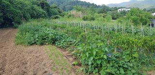 박준석님의 O학년 △반 이세요? · 참여글 작성글 사진