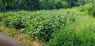 박준석님의 O학년 △반 이세요? · 참여글 작성글 사진