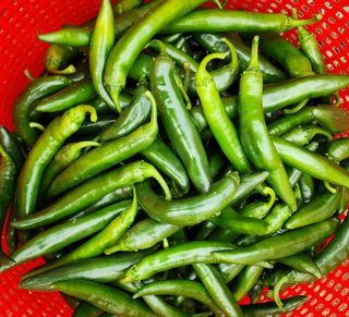 오마니농장님의 작성글 사진