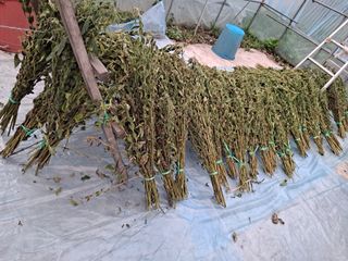 해남댁님의 자유주제 · 자유게시판 작성글 사진