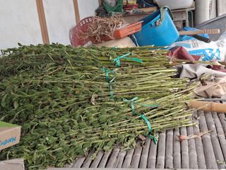 해남댁님의 자유주제 · 자유게시판 작성글 사진