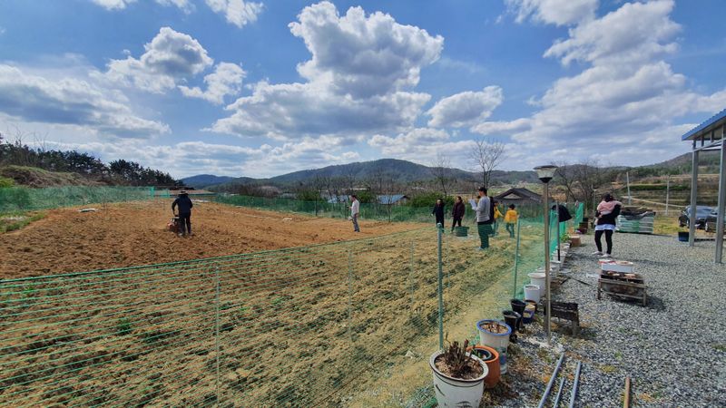 장터 상품 [태광tkc500] 썸네일