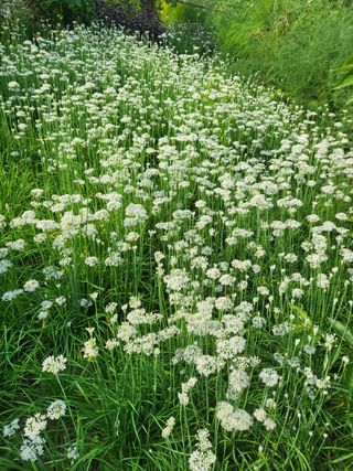 문보라님의 작성글 사진